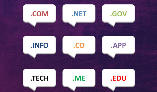 Domain Registration in Chennai