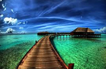Best Website Designers in Chennai